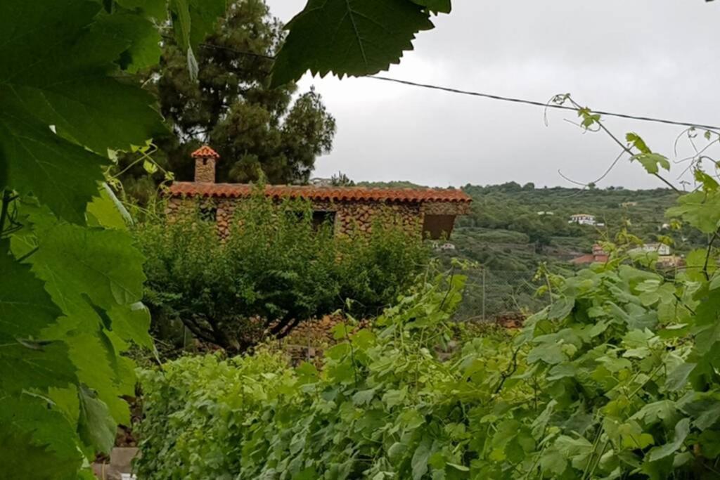 איקוד דה לוס וינוס La Tagora Conect With The Nature & Relax מראה חיצוני תמונה