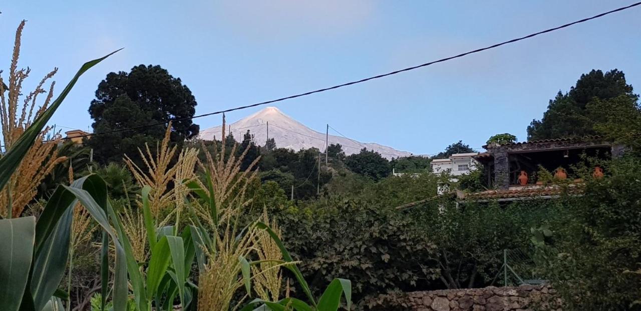 איקוד דה לוס וינוס La Tagora Conect With The Nature & Relax מראה חיצוני תמונה